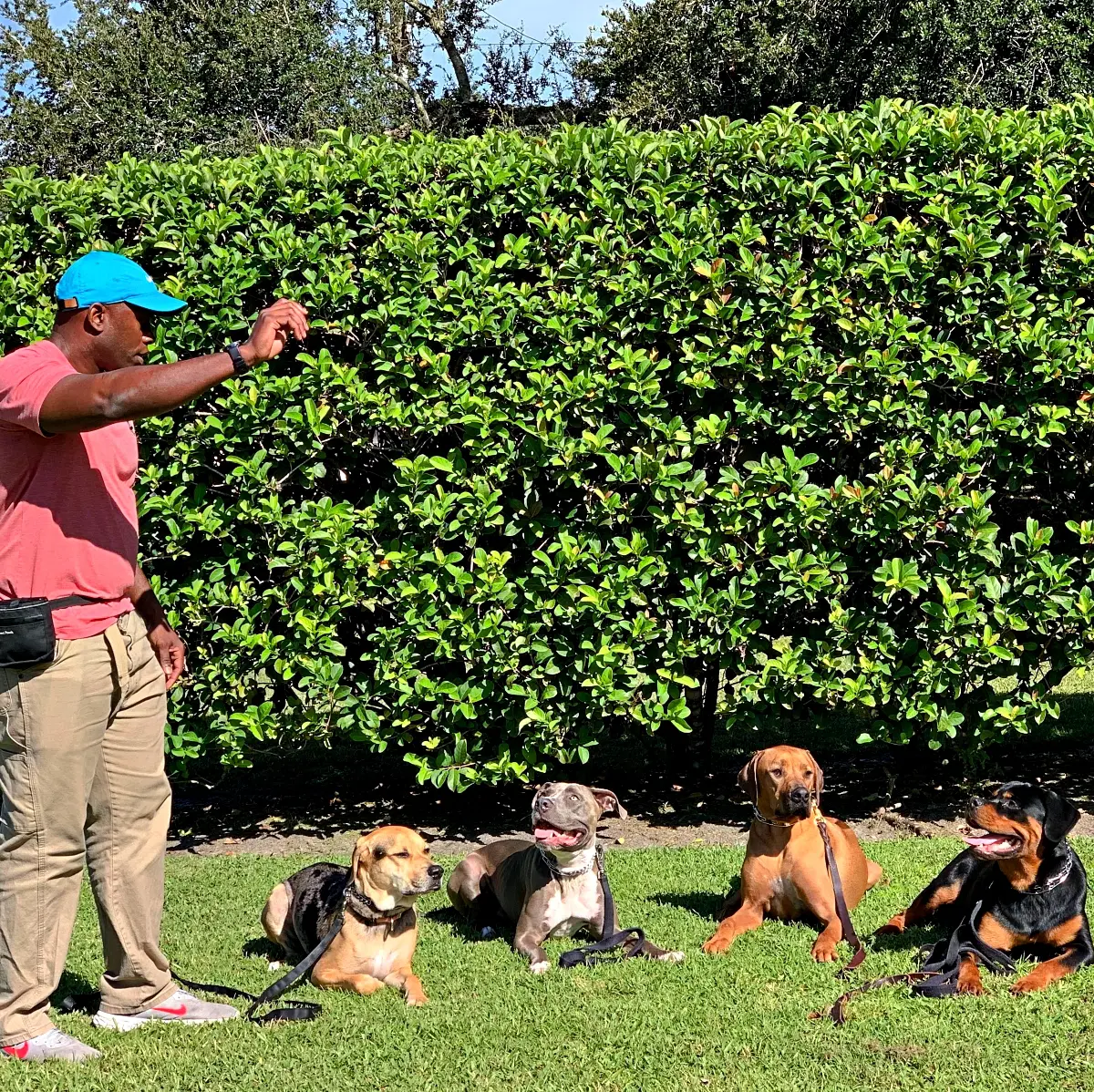 Are You Encouraging Your Dog’s Bad Behavior?