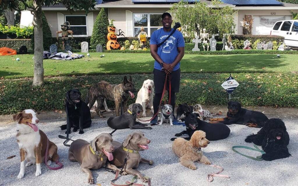 Laurent Gabriel standing on a front lawn with more than a dozen dogs holding a calm down-stay