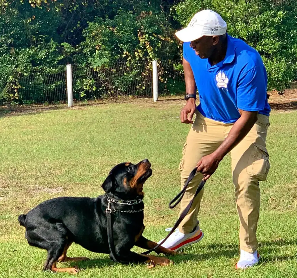 Laurent Gabriel working one-on-one with a rottweiler on a loose leash