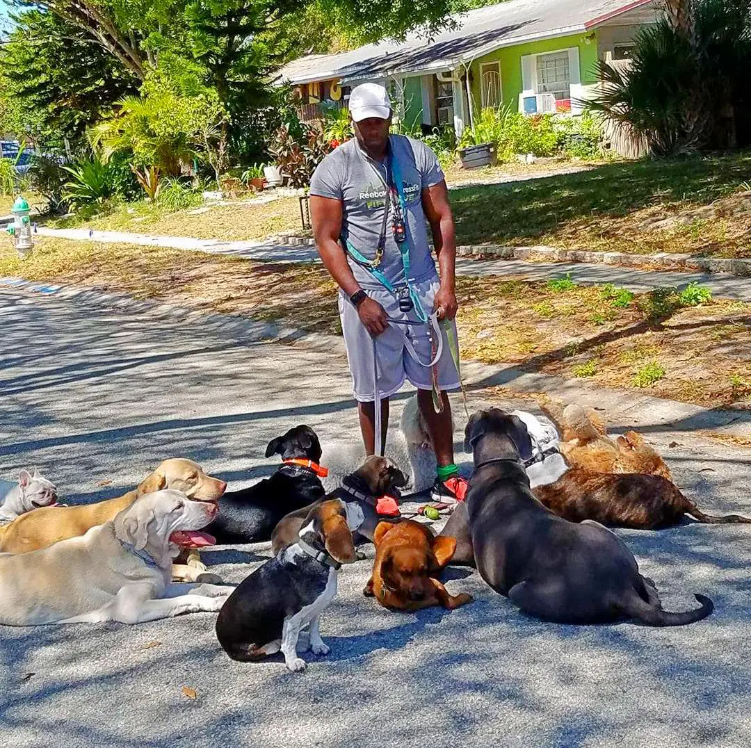 Florida’s Best Dog Trainer Laurent Gabriel