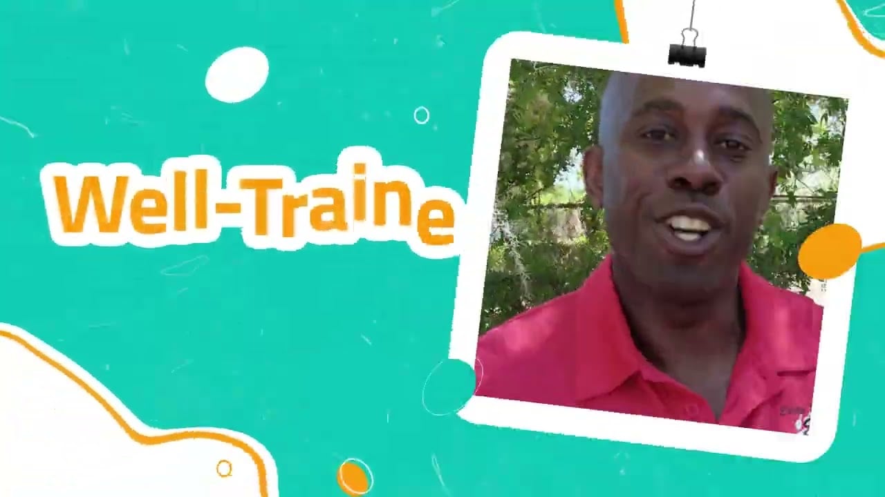 Transform Your Dog’s Behavior with Elite Professional Dog Training