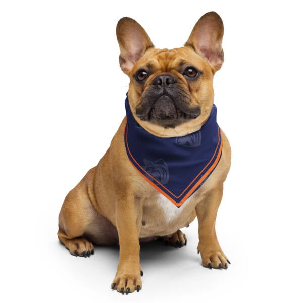 EPDT All-Over Print Bandana