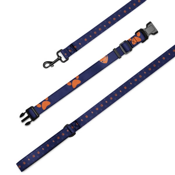 EPDT Shield Dog Collar & Leash Set