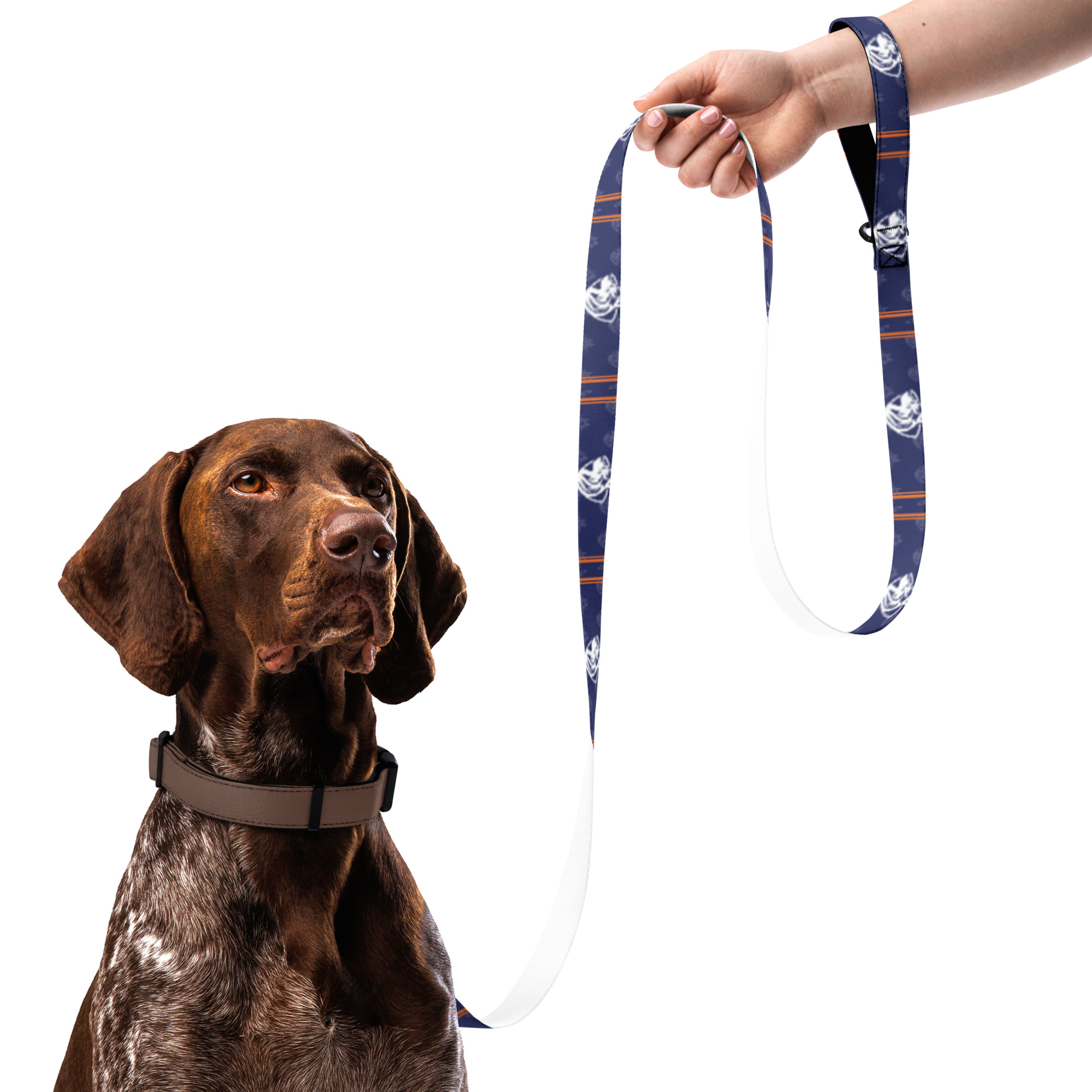 EPDT Shield Dog Leash - Image 2