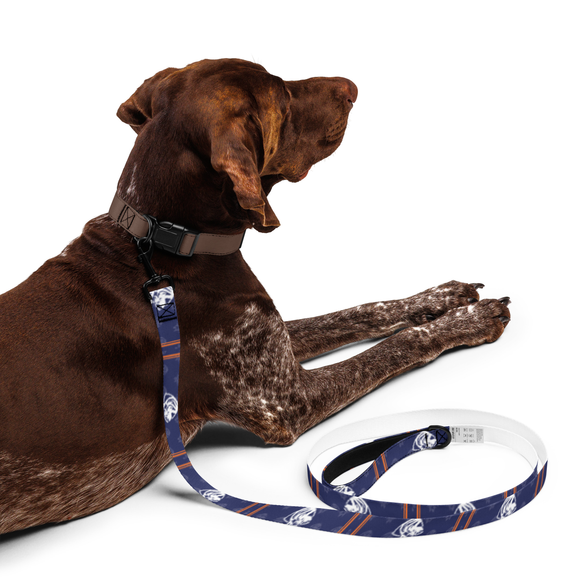 EPDT Shield Dog Leash - Image 3