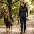 5 Signs It’s Time to Call a Professional Dog Trainer