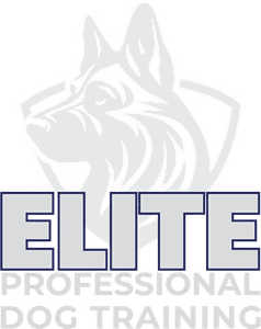 Elite Professional Dog Training